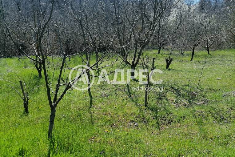 Парцел/Терен, Осеново, 690546, Снимка 9