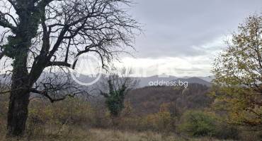 Парцел/Терен, Кръвеник, 677547, Снимка 2