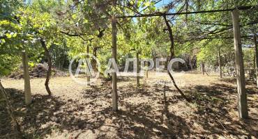 Къща/Вила, Панайот Волово, 668550, Снимка 8