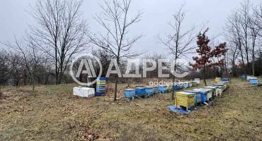 Парцел/Терен, Николово, 645551, Снимка 4