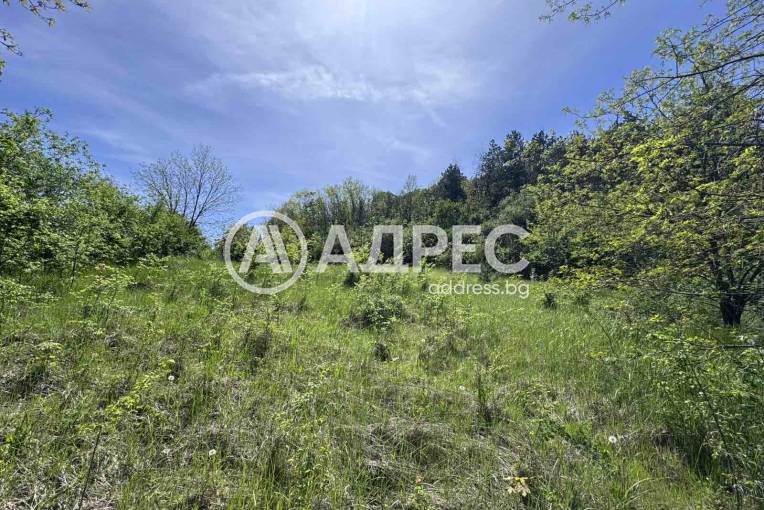 Парцел/Терен, Николово, 645551, Снимка 1