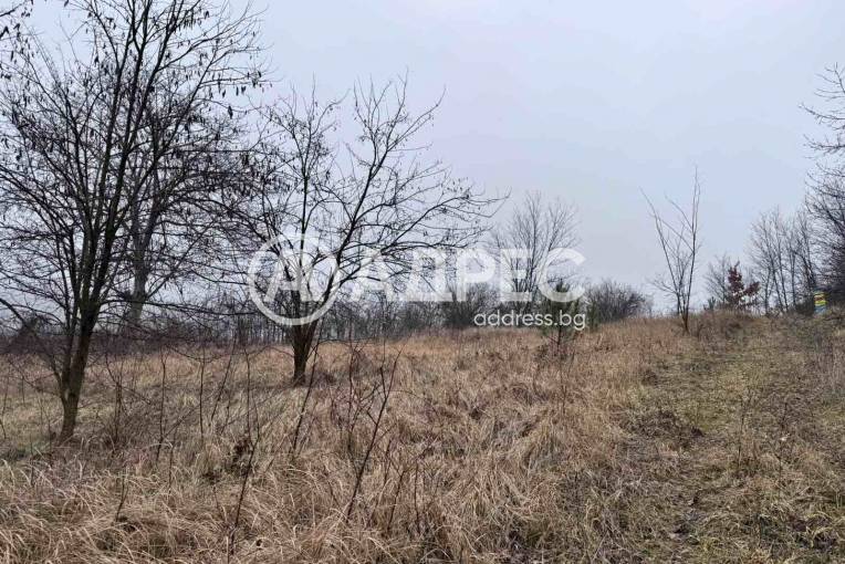 Парцел/Терен, Николово, 645551, Снимка 1