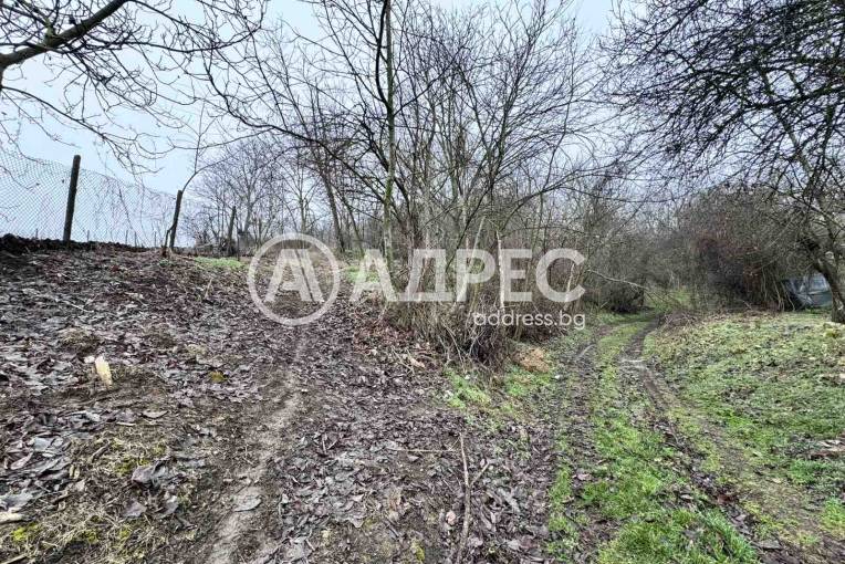 Парцел/Терен, Николово, 645551, Снимка 2