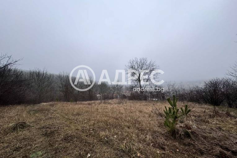 Парцел/Терен, Николово, 645551, Снимка 3