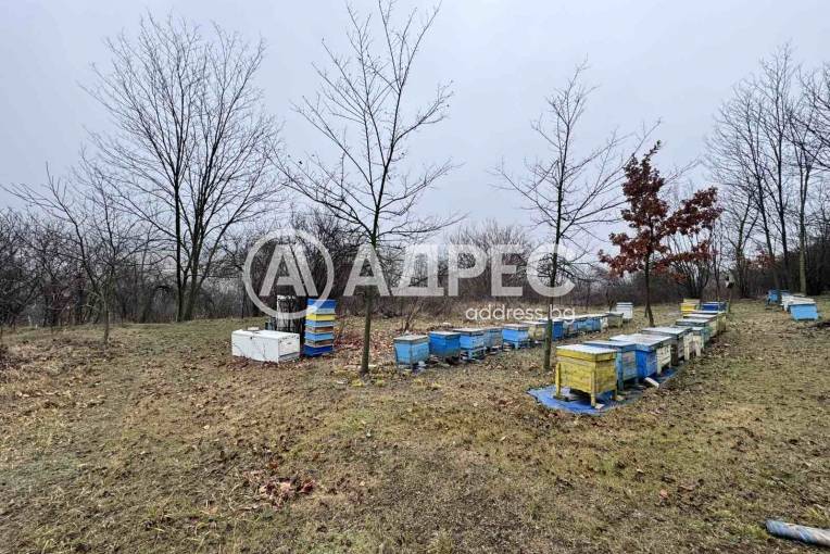 Парцел/Терен, Николово, 645551, Снимка 4