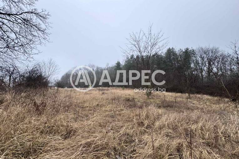 Парцел/Терен, Николово, 645551, Снимка 5