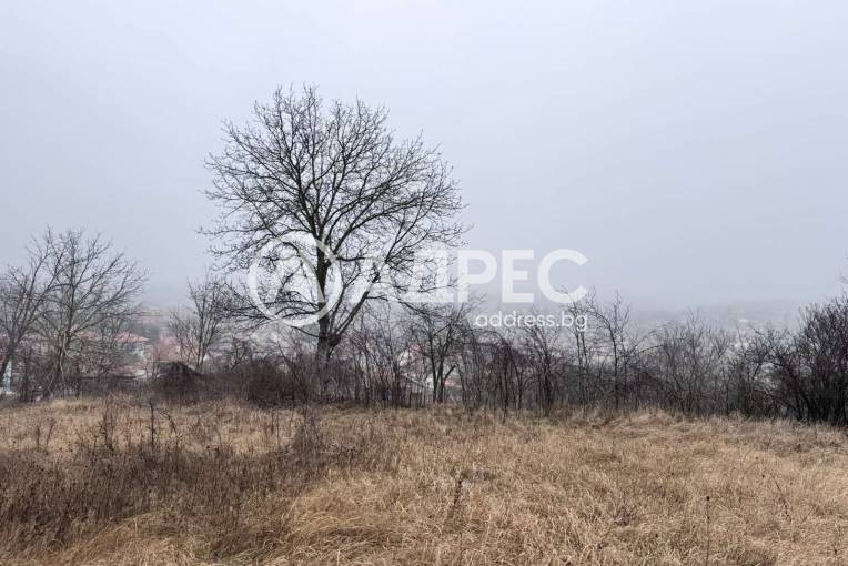 Парцел/Терен, Николово, 645551, Снимка 6