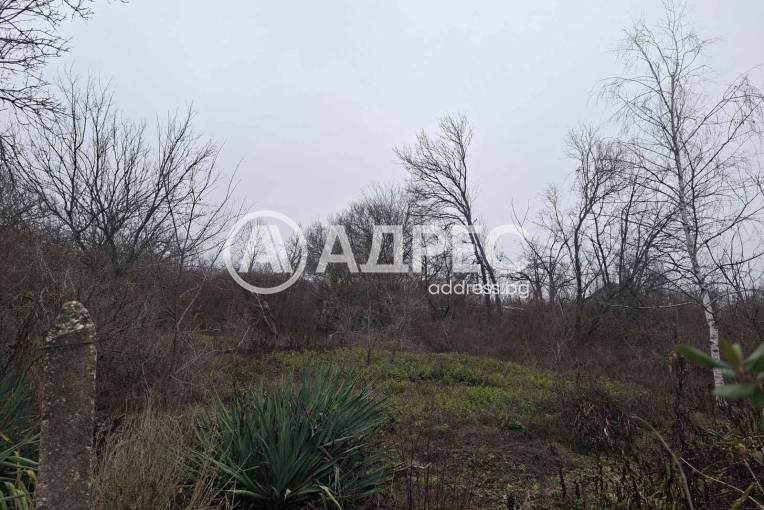 Парцел/Терен, Плевен, Кайлъка, 679555, Снимка 1