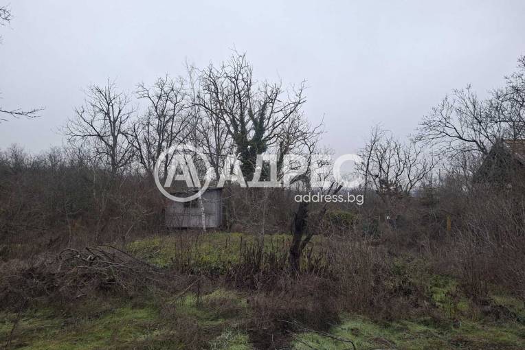 Парцел/Терен, Плевен, Кайлъка, 679555, Снимка 2