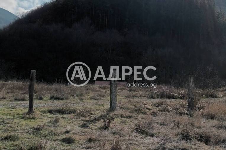 Парцел/Терен, Томпсън, 693561, Снимка 2
