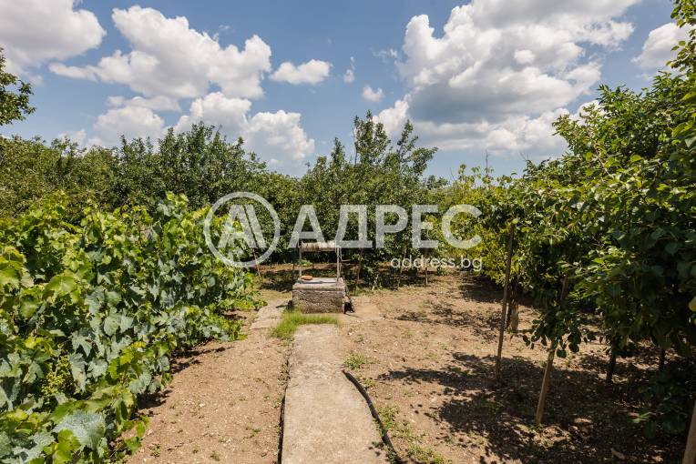 Къща/Вила, Осеново, 700565, Снимка 11