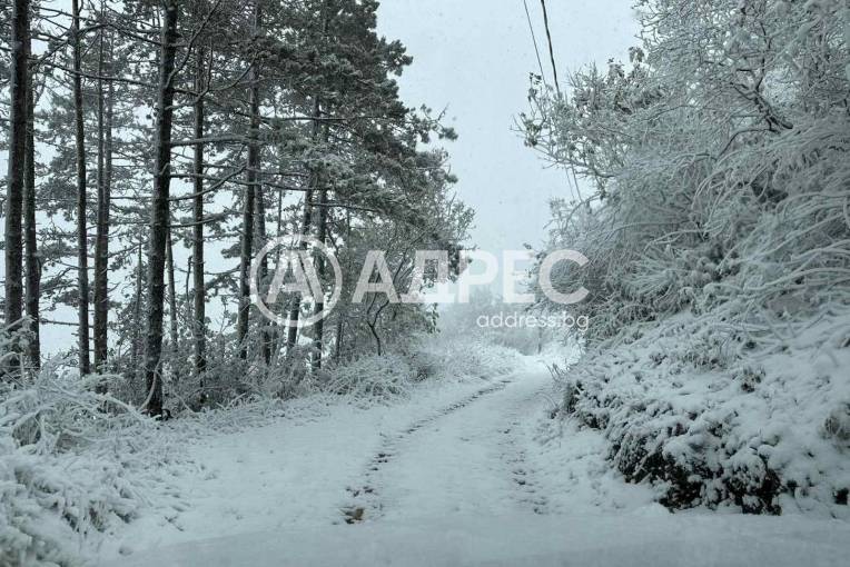 Къща/Вила, Варна, м-ст Акчелар, 638571, Снимка 8