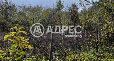 Парцел/Терен, Плевен, Кайлъка, 674585, Снимка 10