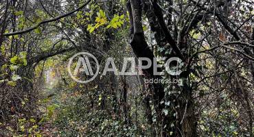 Парцел/Терен, Плевен, Кайлъка, 674585, Снимка 12