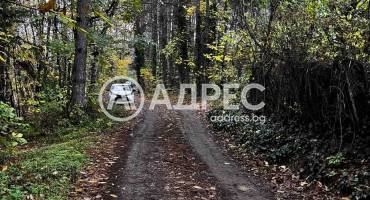 Парцел/Терен, Плевен, Кайлъка, 674585, Снимка 2