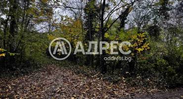 Парцел/Терен, Плевен, Кайлъка, 674585, Снимка 3