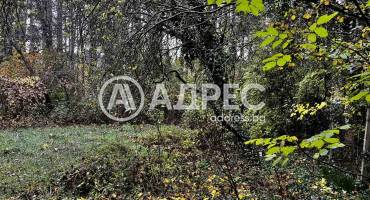 Парцел/Терен, Плевен, Кайлъка, 674585, Снимка 7