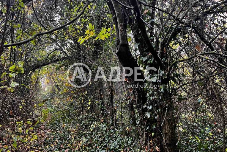 Парцел/Терен, Плевен, Кайлъка, 674585, Снимка 12