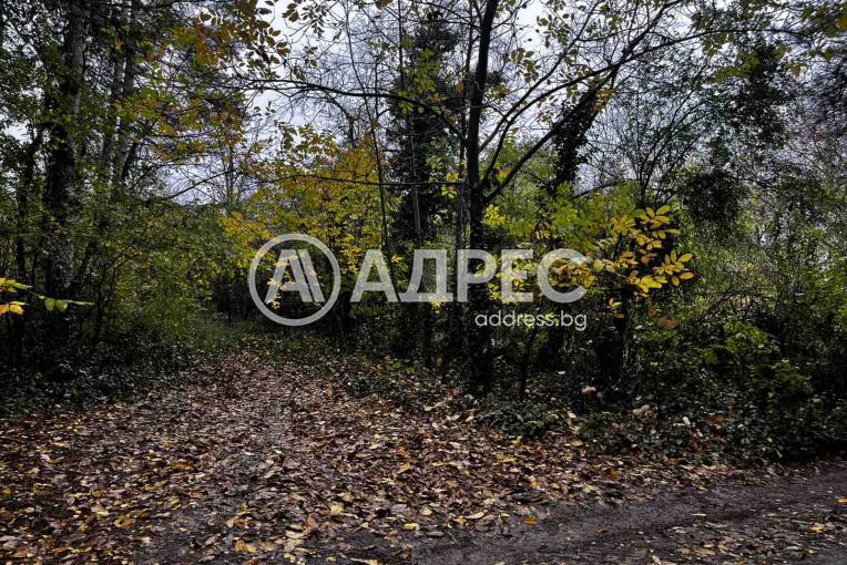 Парцел/Терен, Плевен, Кайлъка, 674585, Снимка 3