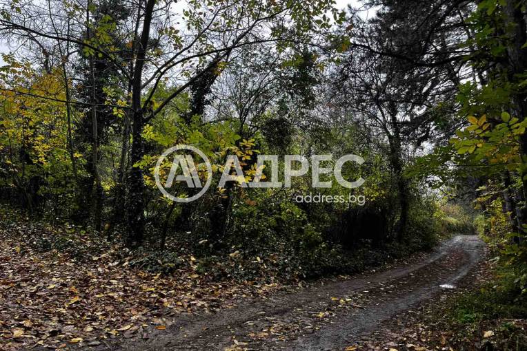 Парцел/Терен, Плевен, Кайлъка, 674585, Снимка 4