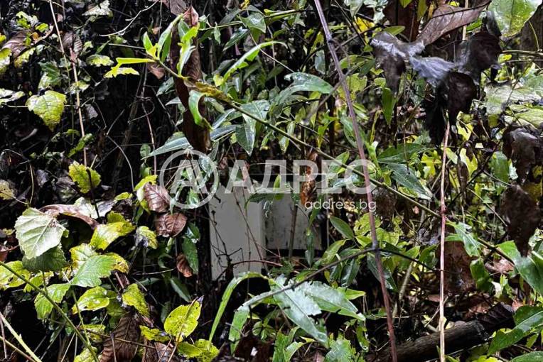 Парцел/Терен, Плевен, Кайлъка, 674585, Снимка 6