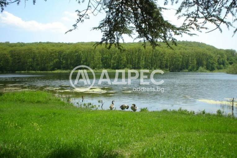 Парцел/Терен, Здравец, 696586, Снимка 1