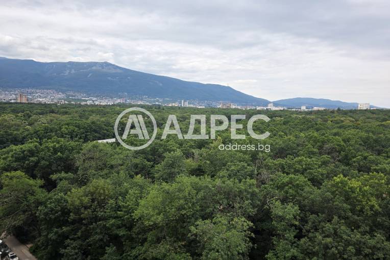 Многостаен апартамент, София, Изгрев, 702586, Снимка 15