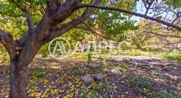 Къща/Вила, Белене, 670593, Снимка 24