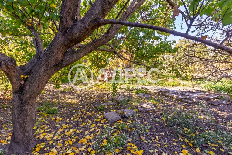 Къща/Вила, Белене, 670593, Снимка 24