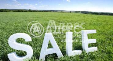 Парцел/Терен, Тополи, 647599, Снимка 2