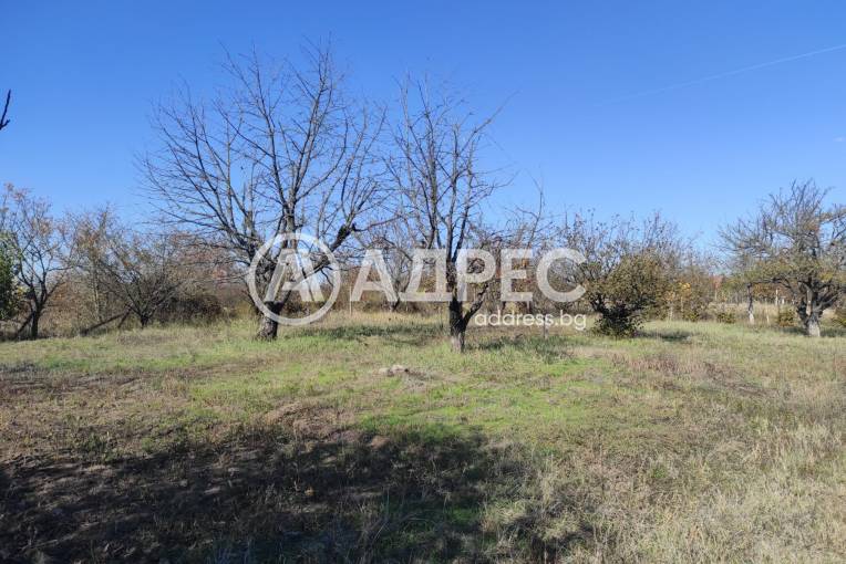 Парцел/Терен, Разград, Арменски лозя, 673601, Снимка 1