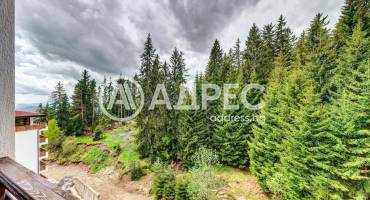 Двустаен апартамент, Пампорово, 695607, Снимка 7