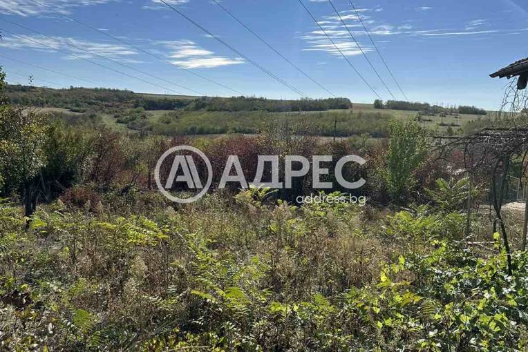 Къща/Вила, Плевен, Кайлъка, 674610, Снимка 2