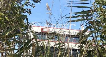 Земеделска земя, Брестник, 672618, Снимка 1