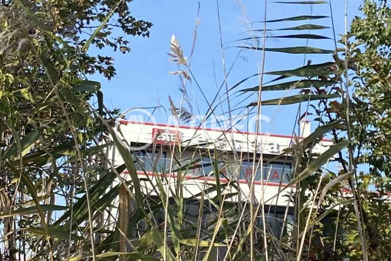 Земеделска земя, Брестник, 672618, Снимка 1