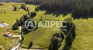 Парцел/Терен, Проглед, 657620, Снимка 6