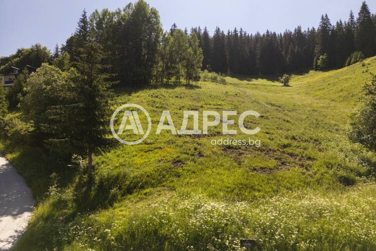 Парцел/Терен, Проглед, 657620, Снимка 5