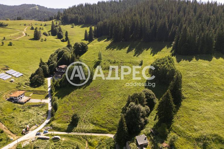 Парцел/Терен, Проглед, 657620, Снимка 6