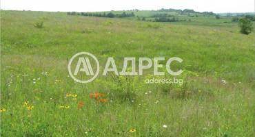 Парцел/Терен, Пловдив, Беломорски, 685621, Снимка 1