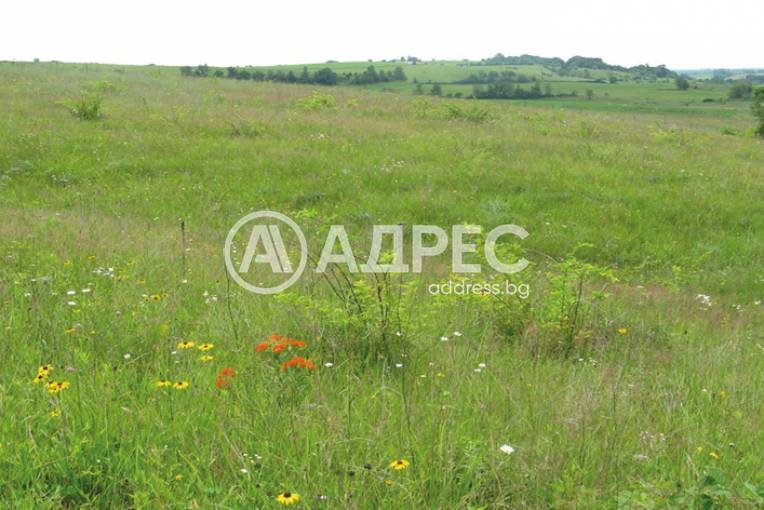 Парцел/Терен, Пловдив, Беломорски, 685621, Снимка 1