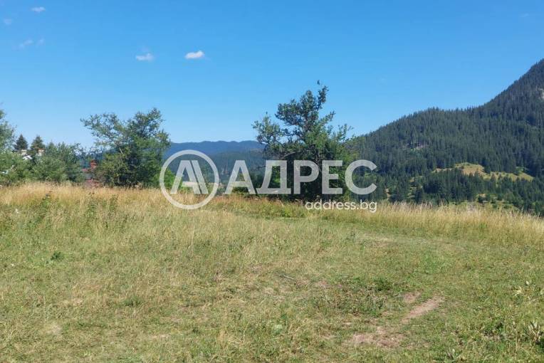 Парцел/Терен, Гела, 626625, Снимка 4