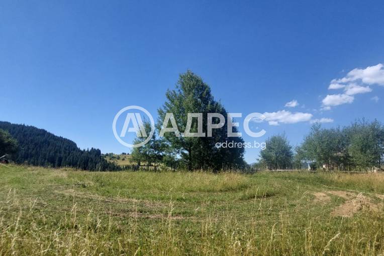 Парцел/Терен, Гела, 626625, Снимка 5