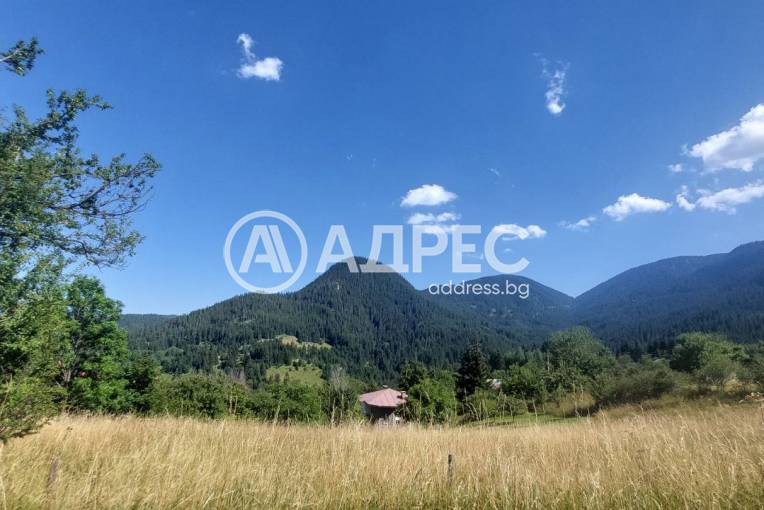 Парцел/Терен, Гела, 626625, Снимка 6