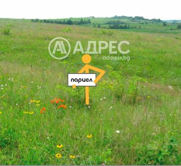 Парцел/Терен, Доброглед, 686626, Снимка 1