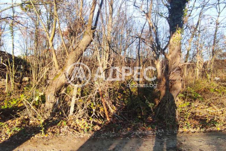 Парцел/Терен, София, Витоша, 677627, Снимка 2