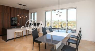 Многостаен апартамент, София, Витоша, 673631, Снимка 16