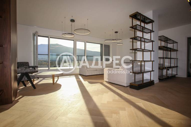 Многостаен апартамент, София, Витоша, 673631, Снимка 11