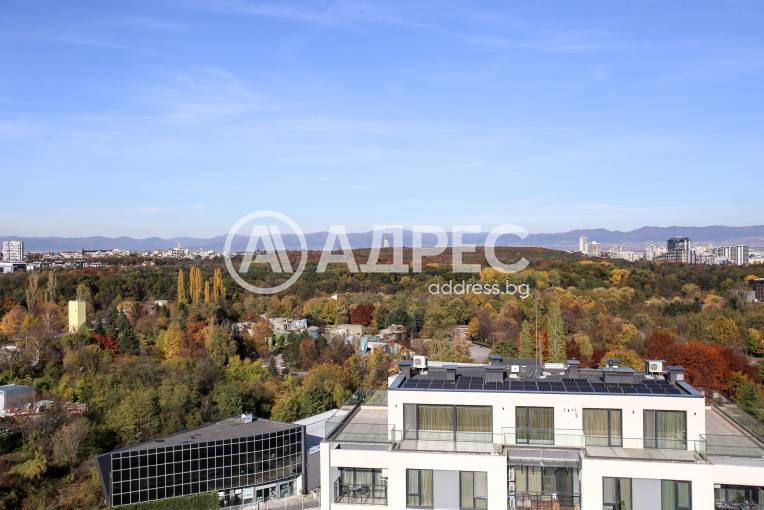 Многостаен апартамент, София, Витоша, 673631, Снимка 20