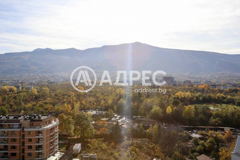 Многостаен апартамент, София, Витоша, 673631, Снимка 22