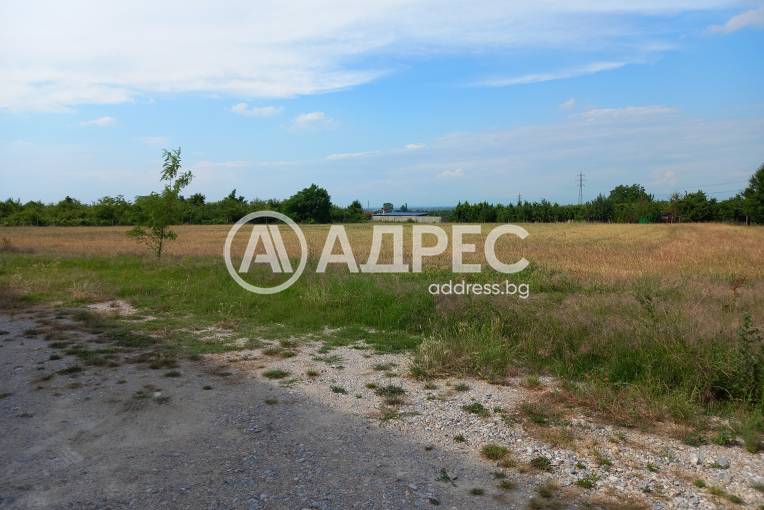 Земеделска земя, Асеновград, 550643, Снимка 2
